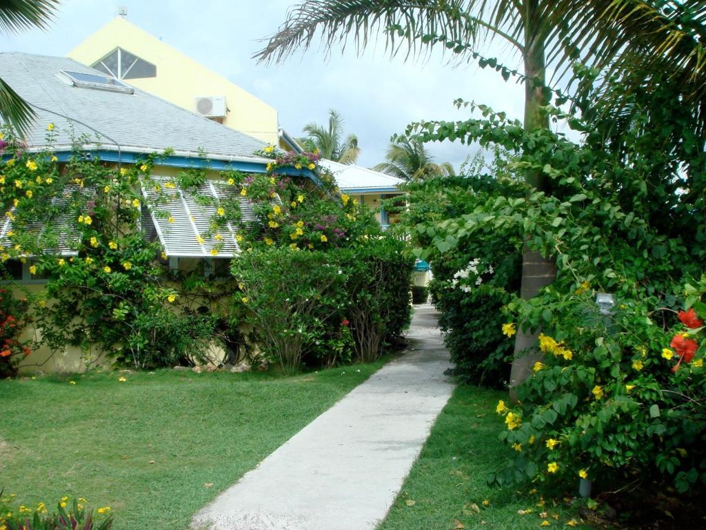 Anchorage Inn Dickenson Bay Kültér fotó